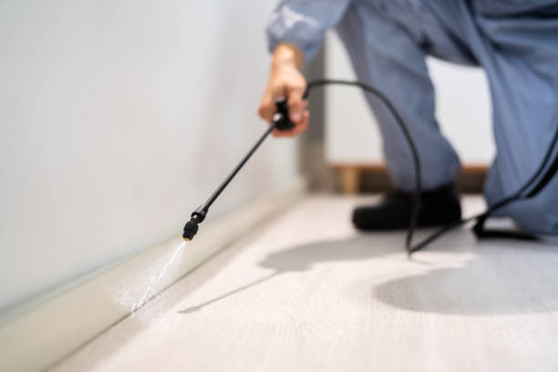 Professional exterminator conducting IPM assessment in Charlotte Harbor